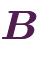 \bm{B}