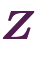 \bm{Z}
